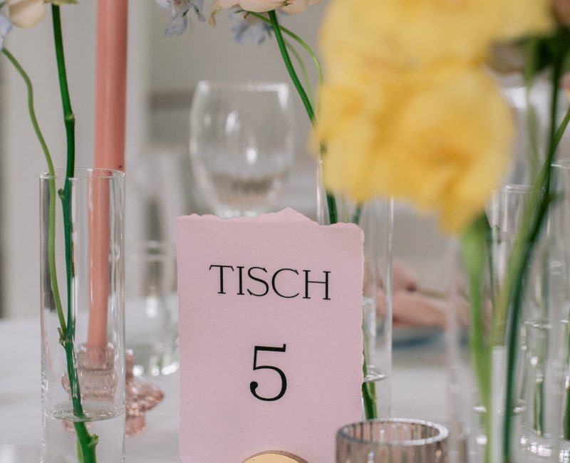 Hochzeitsplanung- weddingplaner-Nrw-Hochzeit-Schloss-Niedersachsen-beleza-Weddings.jpg